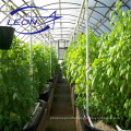 Leon series agriculture greenhouse equipment